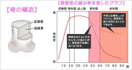 column_graph1 (1)