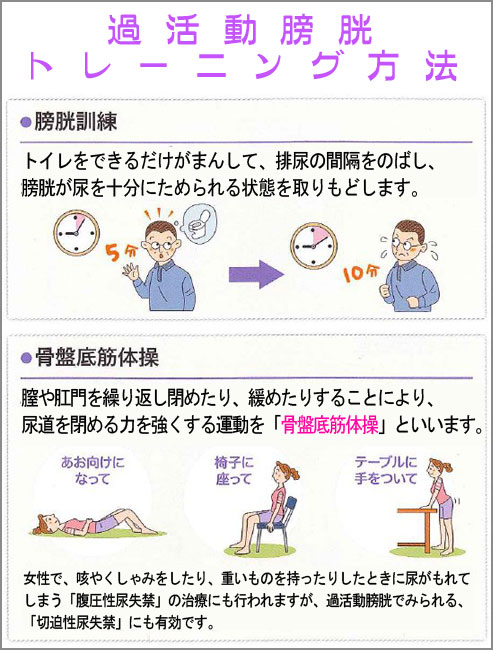 過活動膀胱トレーニング方法