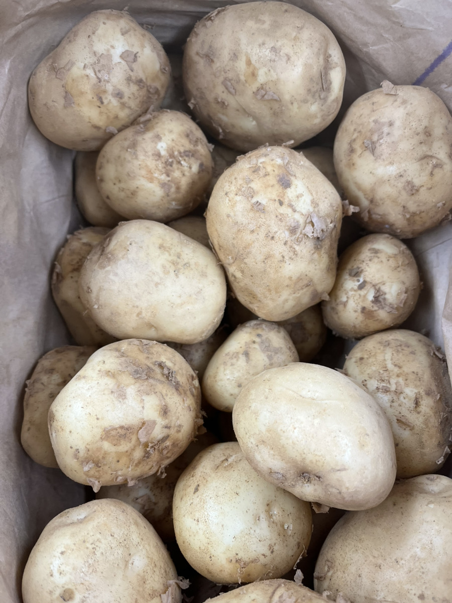 新じゃがお届け