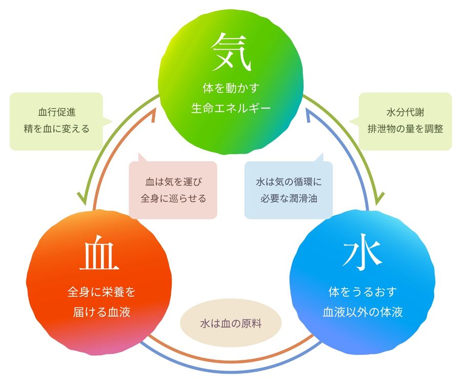 漢方の基本的な考え方となる気血水